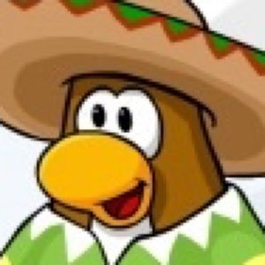 Meet your Posher, Sergio